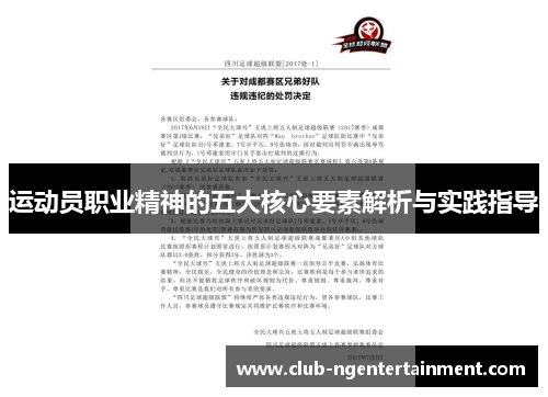 运动员职业精神的五大核心要素解析与实践指导